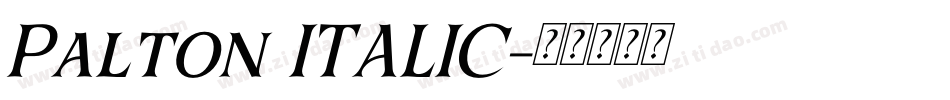 Palton ITALIC字体转换